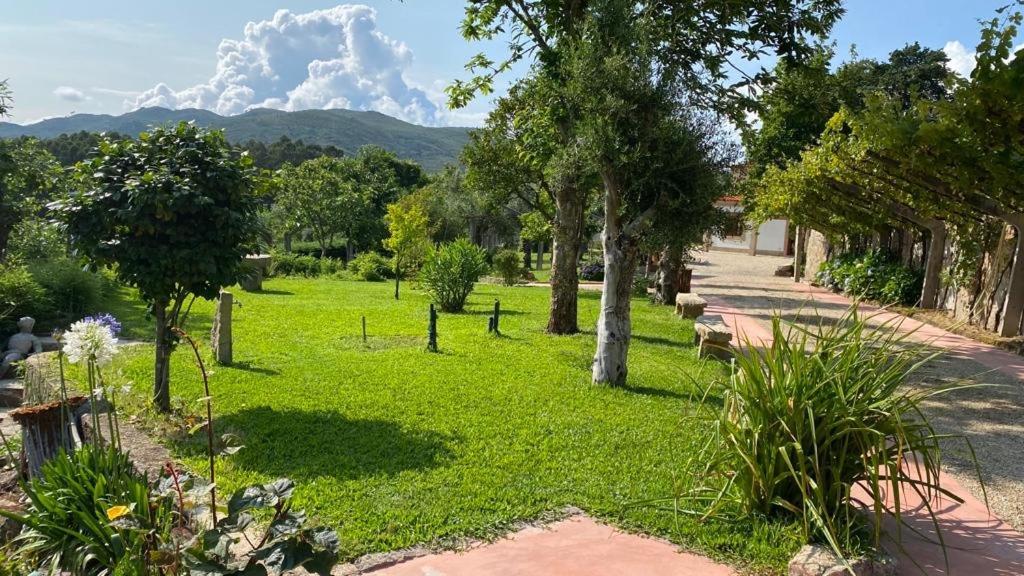 Quinta Dos Amores Ponte de Lima Exteriér fotografie